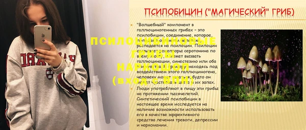 дмт Алексеевка