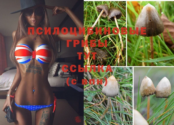 гашик Протвино